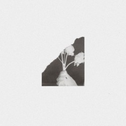 Remixes