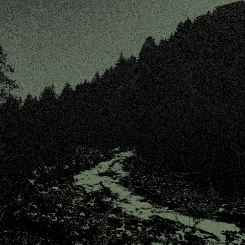 A Night by the Stream