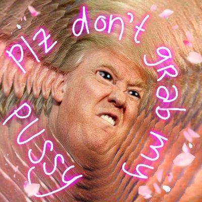 Please Don’t Grab My Pussy