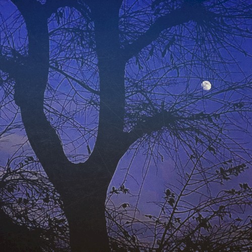 The Moon Is a Harsh Mistress