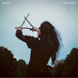 One Night