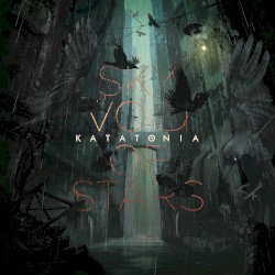 Sky Void of Stars