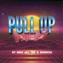 Pull Up Project
