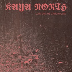 Low Drone Chronicles