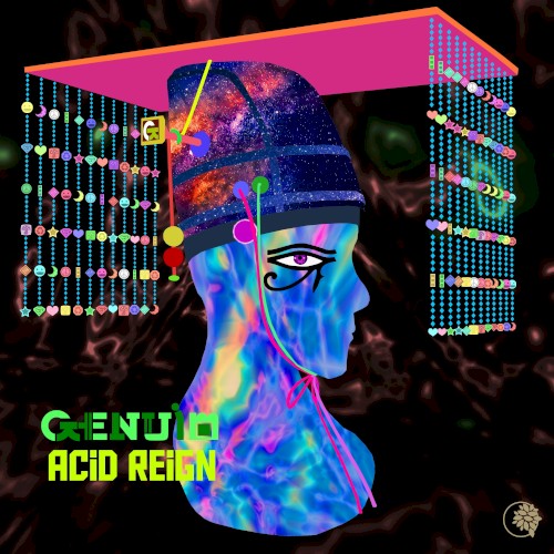 Acid Reign