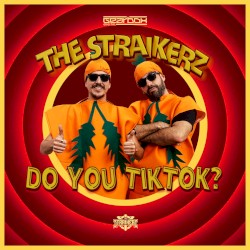 Do You TikTok?
