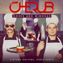 Doses & Mimosas (Vintage Culture, Zerky remix)