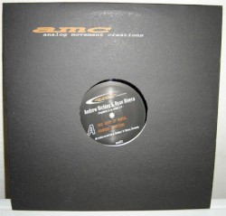 Stupidness Is No Excuse EP