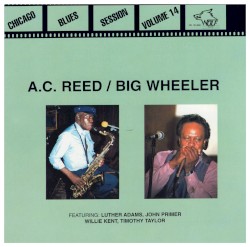 Chicago Blues Session, Volume 14