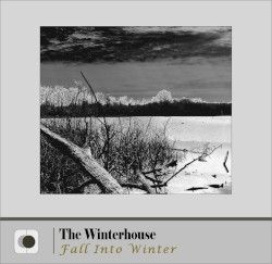 Fall Into Winter