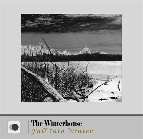 Fall Into Winter