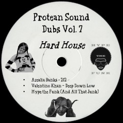 Protean Sound Dubs Vol. 7 (Hard House)