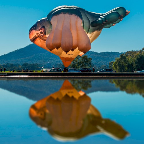 Ode to Sky Whale