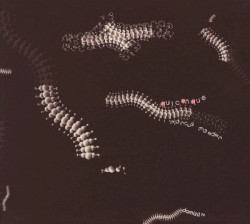 Quiconque