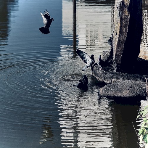 Fragmentary Passage IV