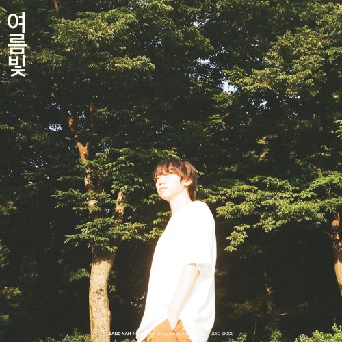 여름빛