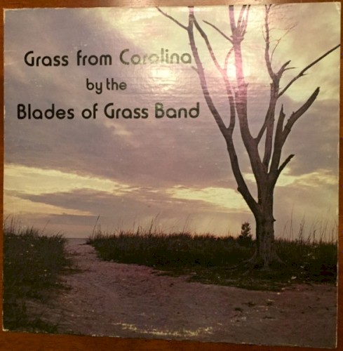 Grass From Carolina