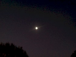 A Cold Dead Star in the Sky