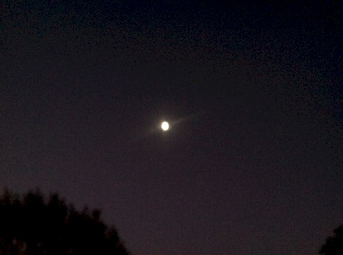 A Cold Dead Star in the Sky