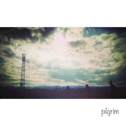 pilgrim