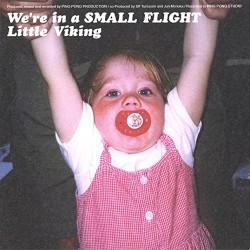 We're In A Small Flight