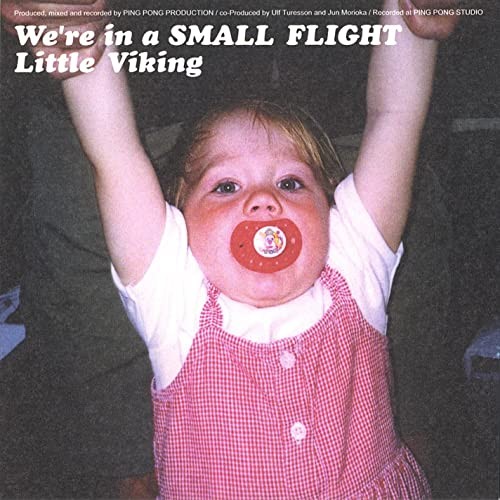 We're In A Small Flight