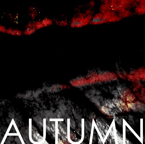 AUTUMN o8