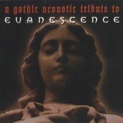 A Gothic Acoustic Tribute to Evanescence
