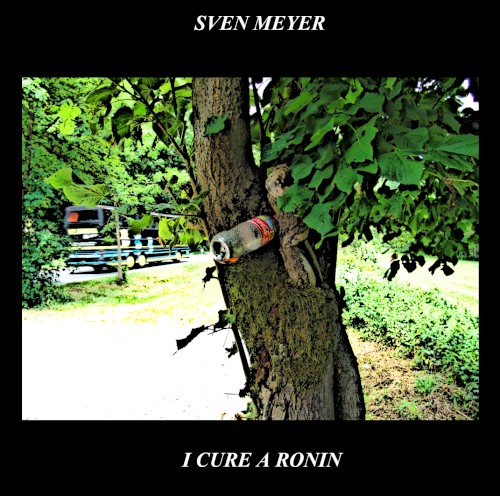 I Cure a Ronin