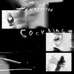 Cockroach (Zaeeun Remix)