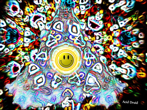 Becoming Aware of the Great Illusion