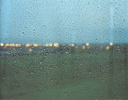 Nobody Out There