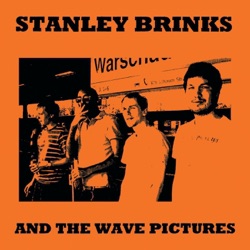 Stanley Brinks