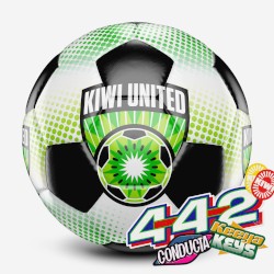 4 - 4 - 2