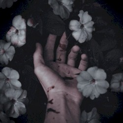 In Blind Embrace