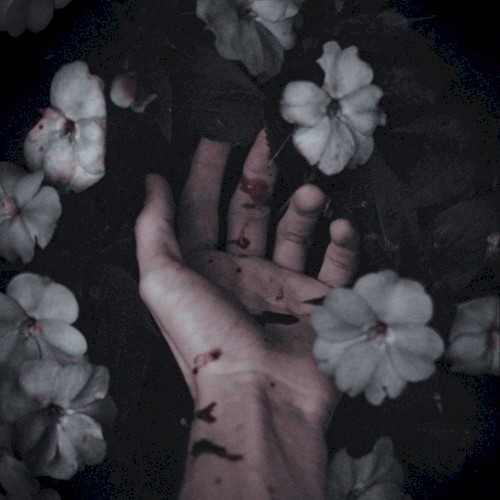 In Blind Embrace