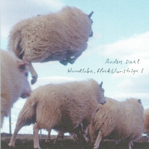 Hundloka, Flockblomstriga 1
