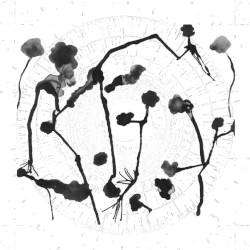 Vibration Blossoms