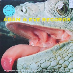 RMB Trax