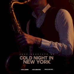 Cold Night in New York