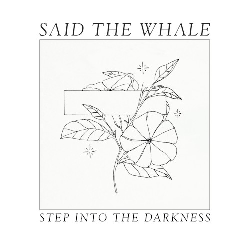 Step Into the Darkness