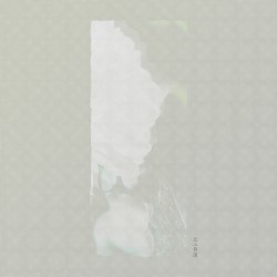 北山黄蓮