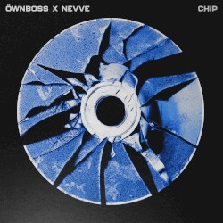 Chip
