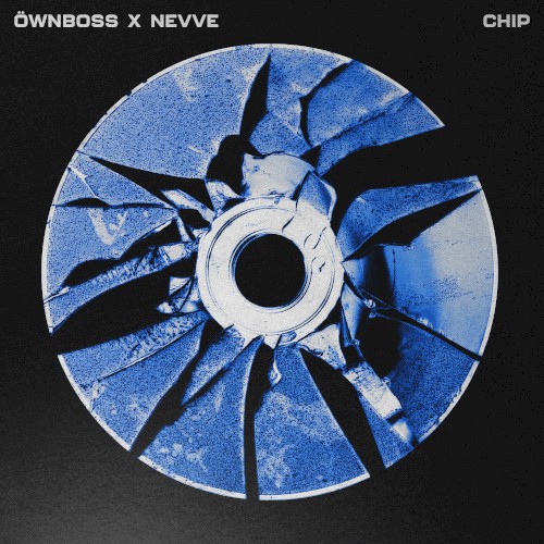Chip