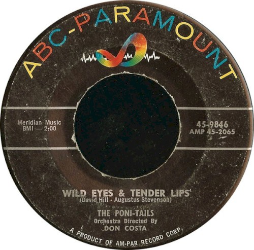 It's Just My Luck to Be Fifteen / Wild Eyes & Tender Lips