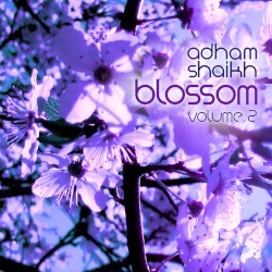 Blossom Vol 2