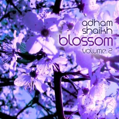 Blossom Vol 2