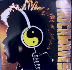 Shockwaves: Best of the Shock Tracks 1989 to 2004