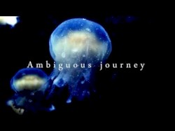 Ambiguous Journey