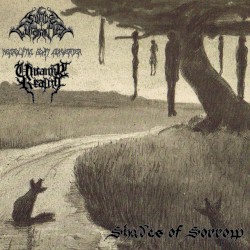 Shades of Sorrow